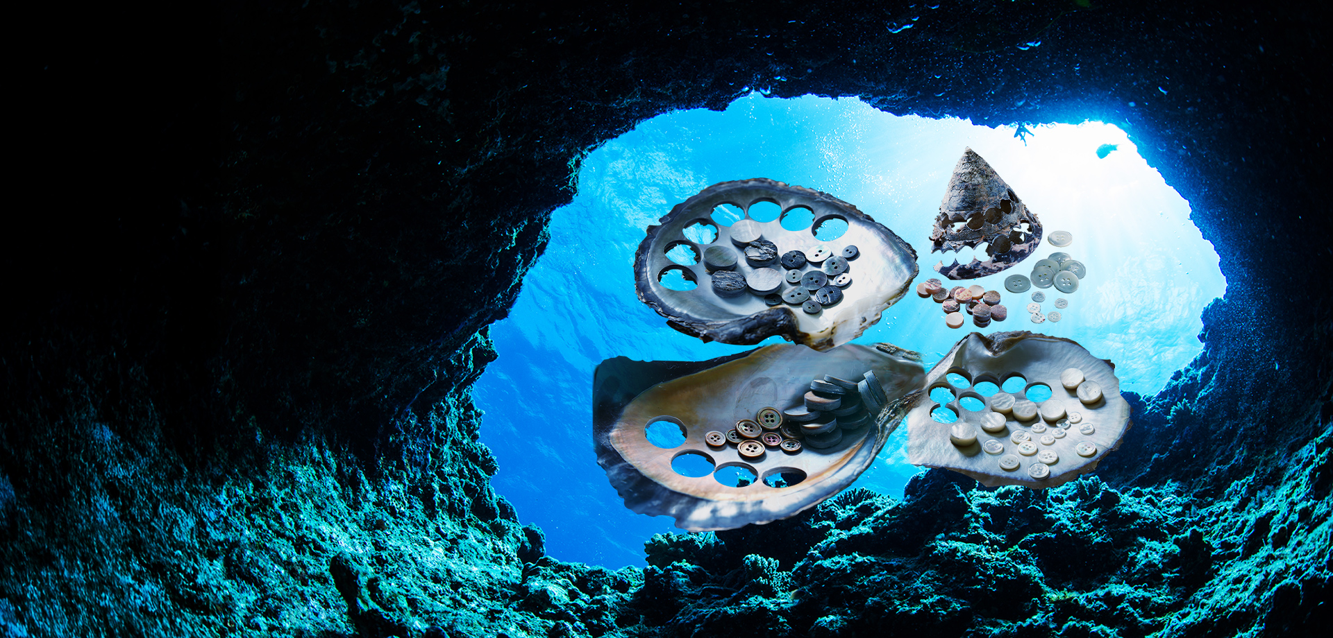 株式会社南本勇商店