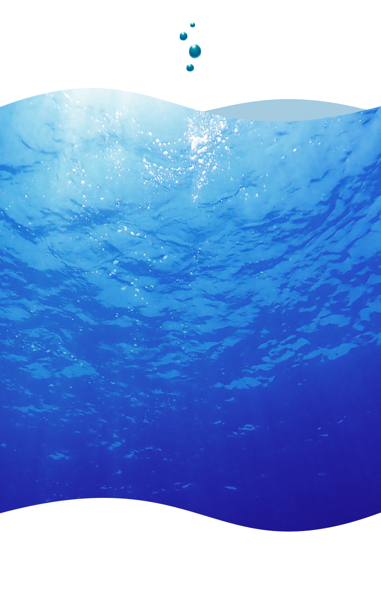 南本勇商店について