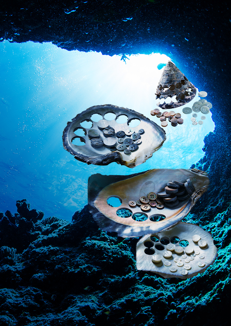 株式会社南本勇商店