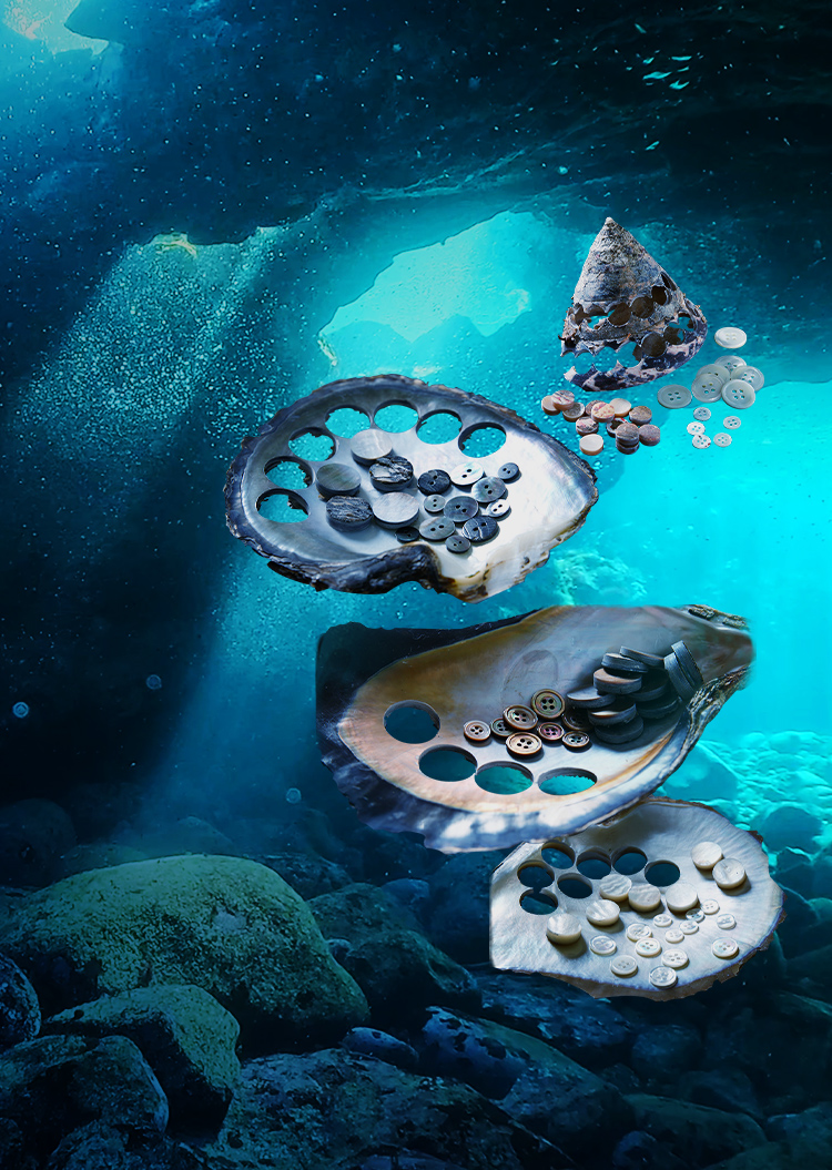 株式会社南本勇商店