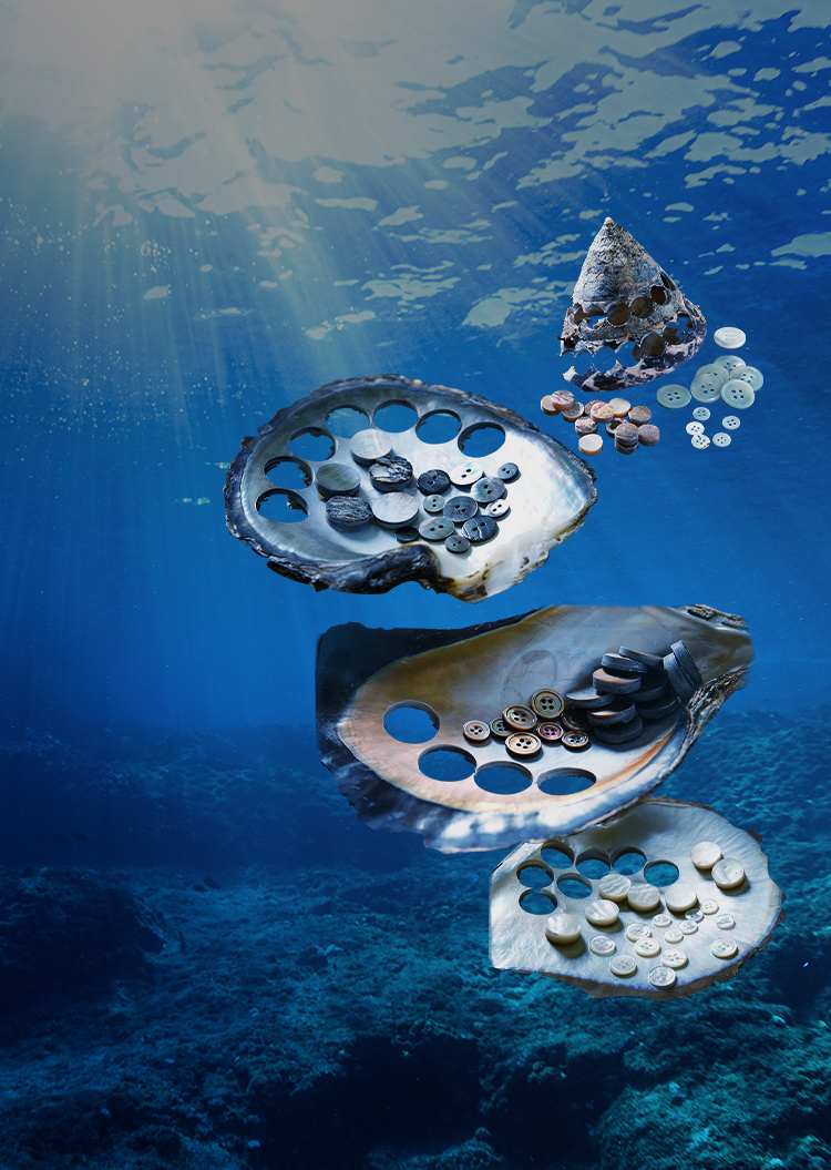 株式会社南本勇商店